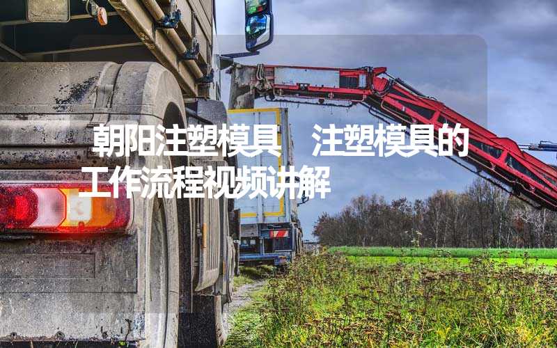 朝阳注塑模具 注塑模具的工作流程视频讲解